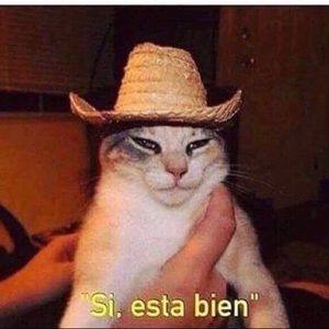 Meet your Posher, Jacob